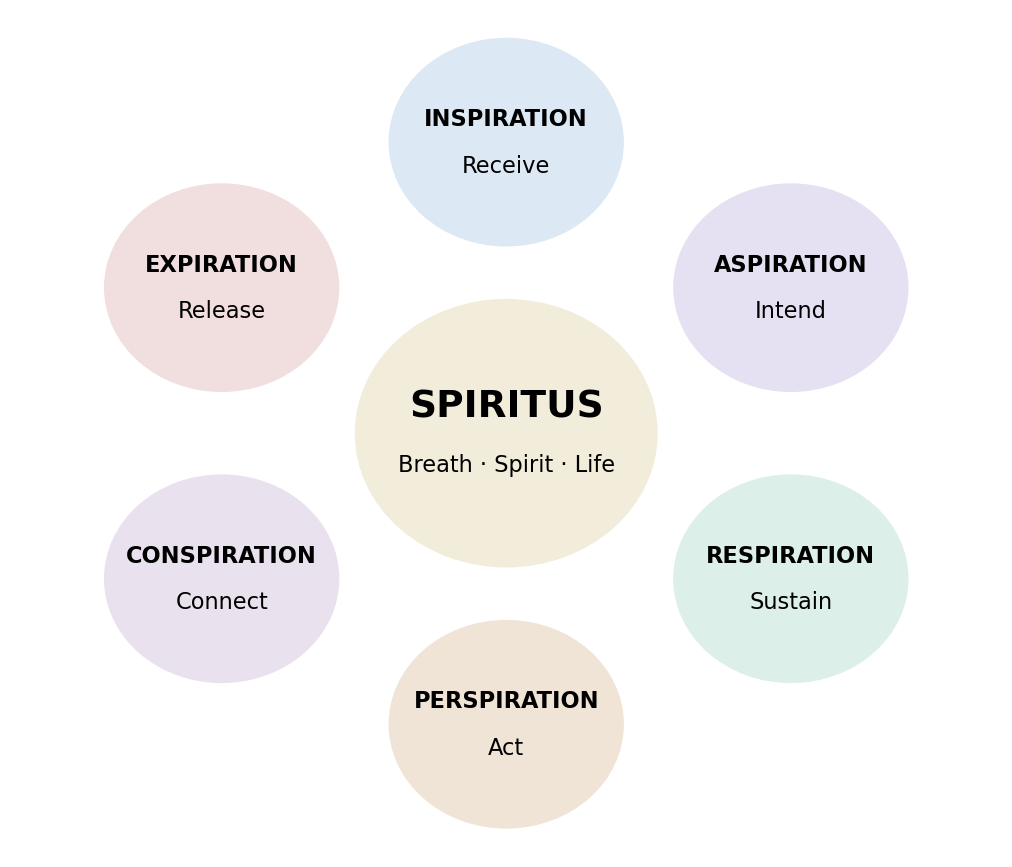 Spiritus and six expressions of embodied life
